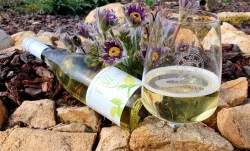 Frizzante 2020 v prodeji .O.o°°..Oo°.oo.°°°OO