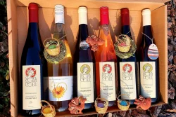 Jarní kolekce II + dárek