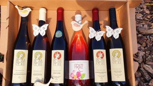 Jarní kolekce vín I + dárek
