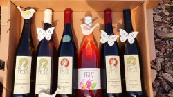 Jarní kolekce vín I + dárek