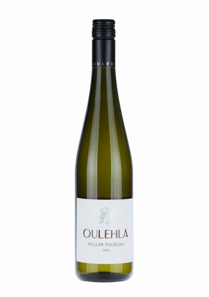 Müller Thurgau  2025 