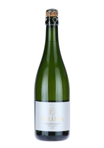 SEKT 2020 Chardonnay brut nature